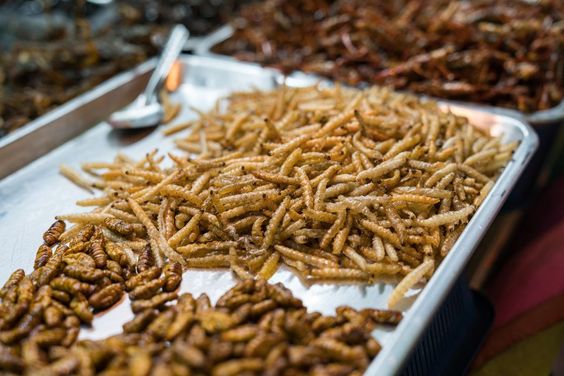 4 Zodiak Suka Mencoba Makanan Aneh