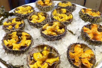 Apakah Bulu Babi Halal? Begini Jawaban serta Manfaatnya!
