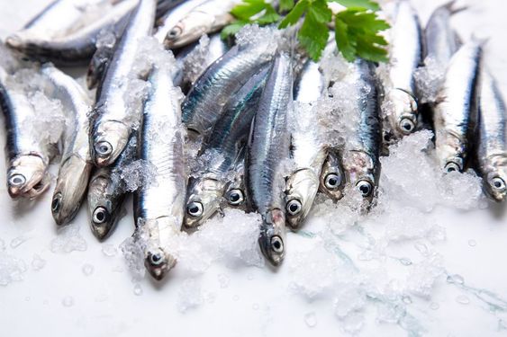 4 Jenis Ikan Tinggi Kandungan Purin, Musuh Penderita Asam Urat!