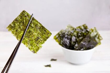 8 Jenis Rumput Laut yang Populer, Ada Favoritmu?