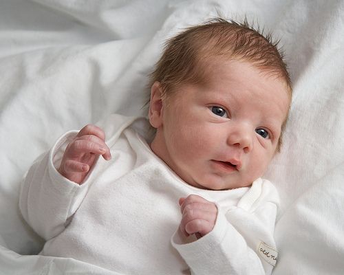 10 Hal Penting tentang Bayi Tabung yang Harus Kamu Tahu
