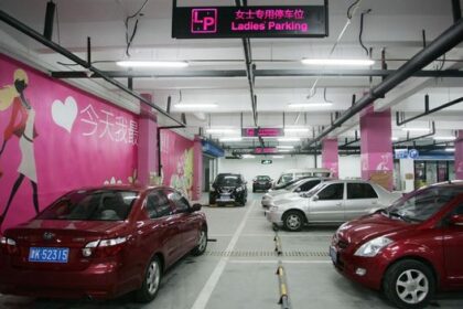 Asal-usul Ladies Parking yang Belakangan Jadi Kontroversi
