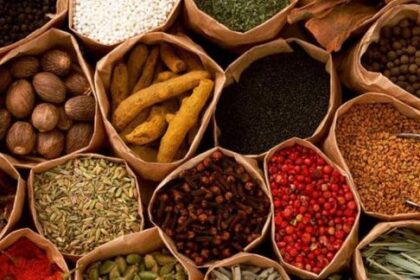 5 Rempah Dapur Andalan yang Bagus untuk Kelola Diabetes