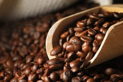 4 Kopi Lokal dengan Proses Tradisional, Favorit Sepanjang Masa