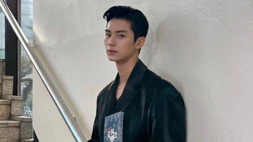 Fakta Menarik Lee Chae Min, Pemeran Utama 'Hierarchy'