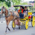 Daftar Moda Transportasi Umum Paling Unik di Dunia, Ada Andong!