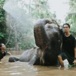 3 Destinasi Lokal Ramah Anak untuk Libur Iduladha!
