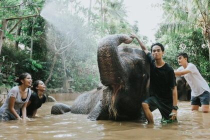 3 Destinasi Lokal Ramah Anak untuk Libur Iduladha!