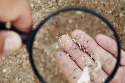 5 Sumber Mikroplastik yang Dikonsumsi Manusia, Wajib Tahu!