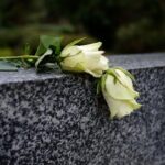 Wanita Penerima Cangkok Ginjal Babi di AS Meninggal Dunia