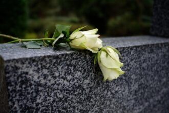 Wanita Penerima Cangkok Ginjal Babi di AS Meninggal Dunia