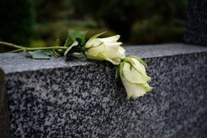 Wanita Penerima Cangkok Ginjal Babi di AS Meninggal Dunia