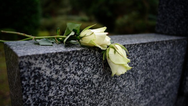Wanita Penerima Cangkok Ginjal Babi di AS Meninggal Dunia