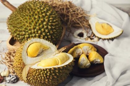 4 Cara Mengatasi Mabuk Durian yang Wajib Kamu Tahu!