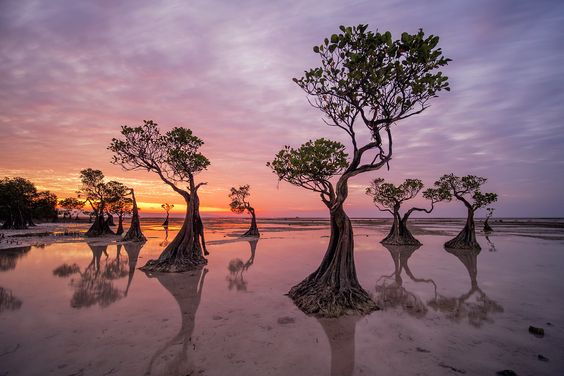 Bali dan Sumba Masuk Daftar Pulau Terbaik Asia Pasifik 2024