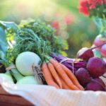 9 Makanan yang Meningkatkan Trombosit