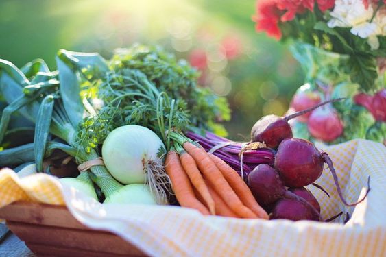 9 Makanan yang Meningkatkan Trombosit