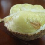 Deretan Fakta Durian Gundul Tanpa Duri yang Bikin Heboh