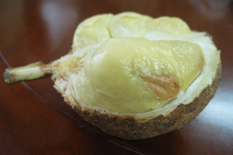 Deretan Fakta Durian Gundul Tanpa Duri yang Bikin Heboh