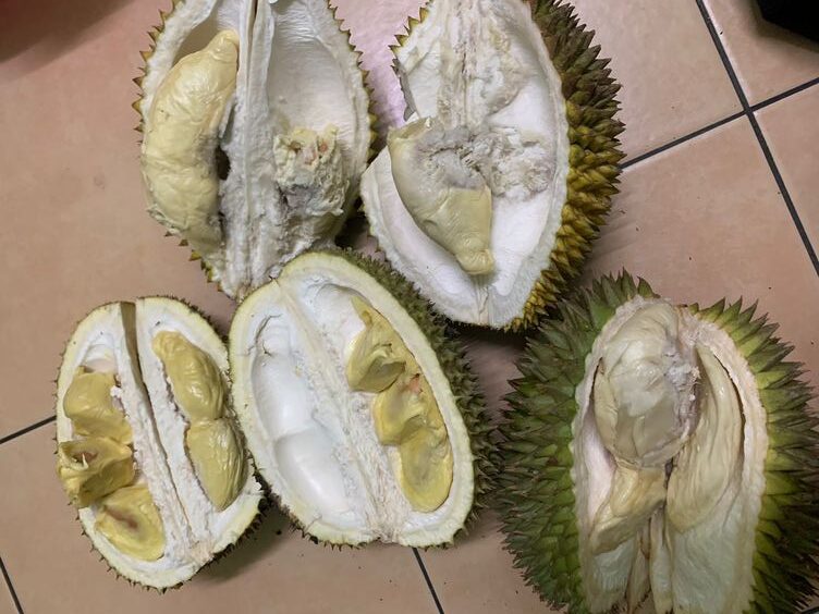 Daging Durian Berwarna Busuk Keabuan Lebih Enak, Benarkah?
