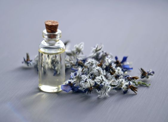 Mengenal Bibit Parfum dan Alasan Jadi Incaran Orang