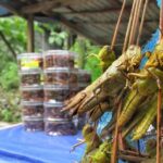 10 Daftar Kuliner Ekstrem yang Ada Indonesia, Pernah Coba?