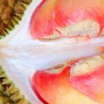 5 Durian Berbentuk Aneh Tapi Rasanya Nikmat, Pernah Coba?