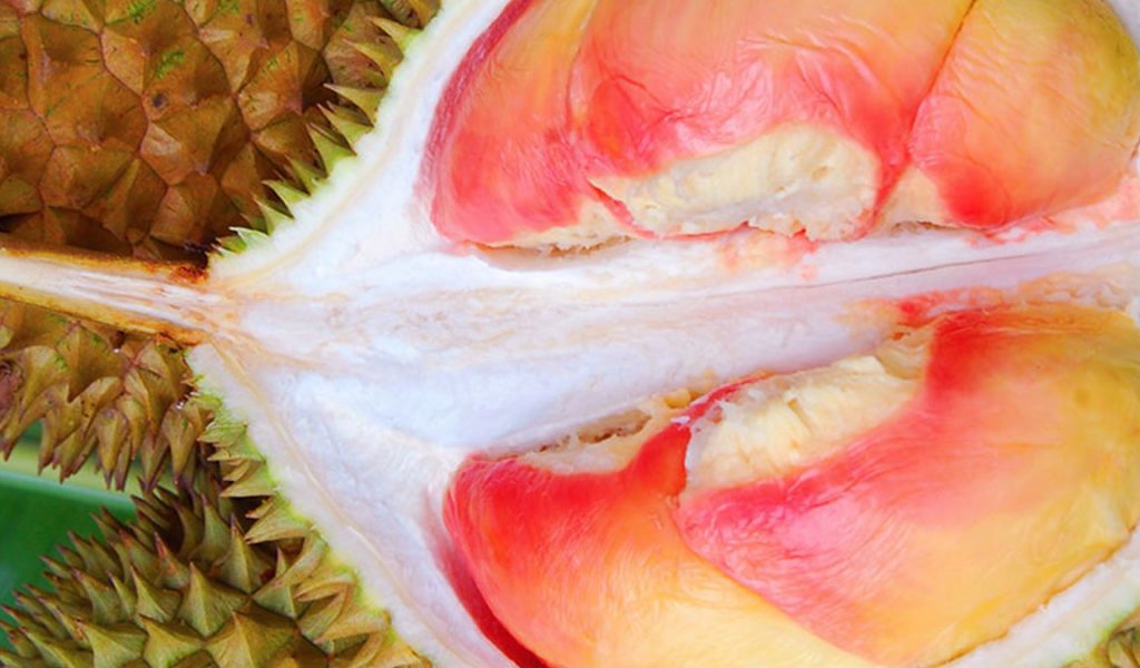 5 Durian Berbentuk Aneh Tapi Rasanya Nikmat, Pernah Coba?