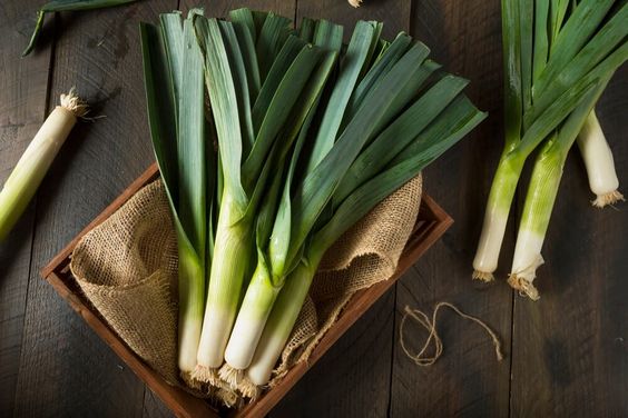 3 Kesalahan Bikin Daun Bawang Cepat Busuk, Wajib Perhatikan!