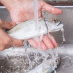 5 Bahan Alami Penghilang Bau Amis Setelah Mencuci Ikan