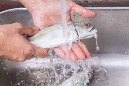 5 Bahan Alami Penghilang Bau Amis Setelah Mencuci Ikan