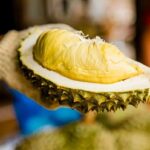 Mengenal Keistimewaan Durian Vulkanik, WL Sampai Setahun!