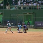baseball softball salman al farisi